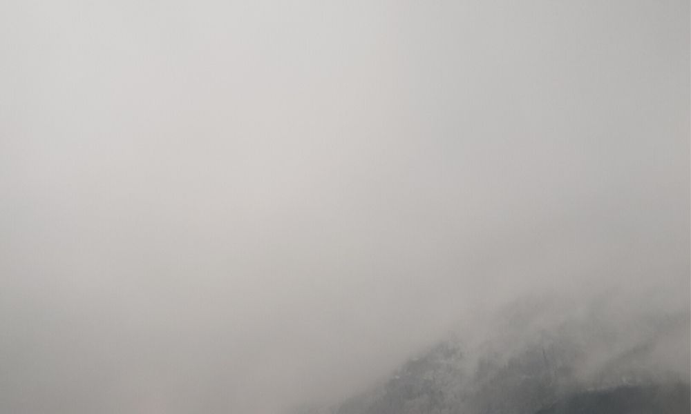 Gonzen bei Nebel und Schnee am morgen früh. 12v12