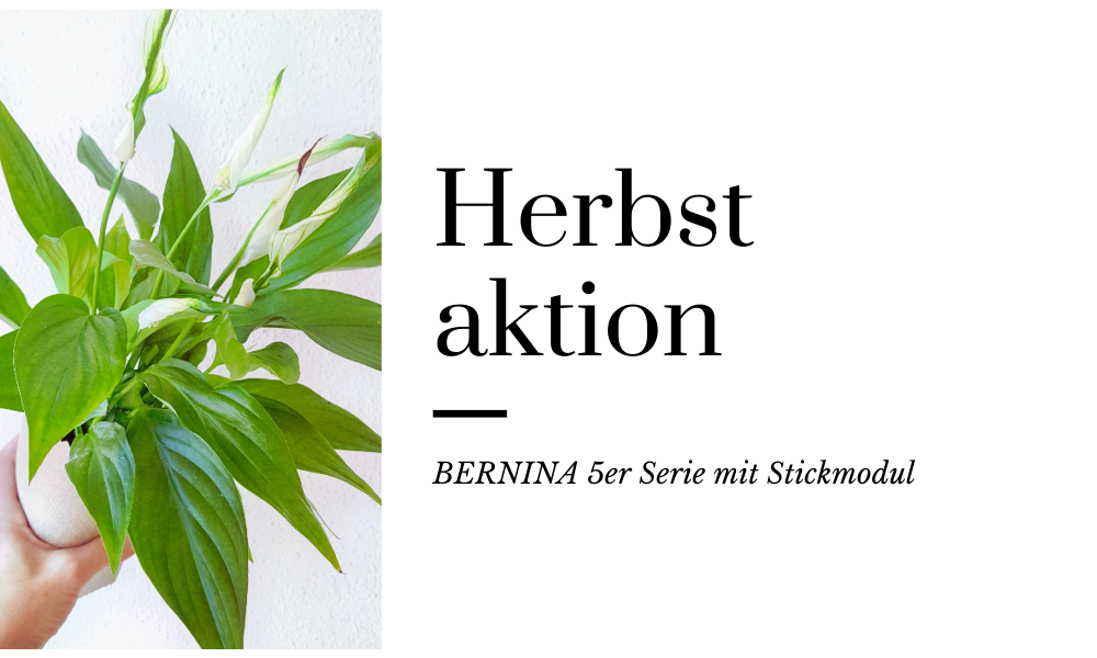 Herbst aktion